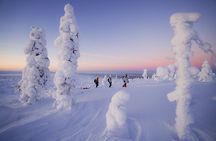 Private Snowshoe or Ski Adventure in Lapland