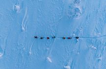 Private Snowshoe or Ski Adventure in Lapland