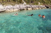 Catamaran Reef Snorkel & Turtle Adventure