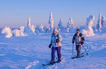 Private Snowshoe or Ski Adventure in Lapland