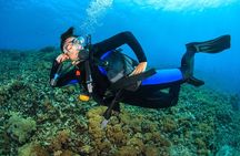 Try Scuba Diving in Racha Yai and Noi for Non-Certified