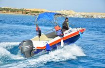 Private Speedboat Excursion Dolphin House Discovery - Hurghada