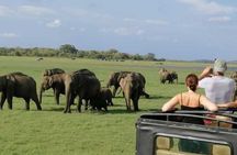 Explore Sri Lanka 10 Days with Private Car & Chauffeur