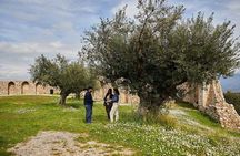 Argo Cultural Arts and Tastings Private Tour