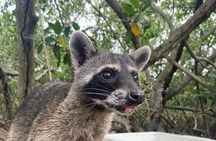 Ecotour craft fishing and cultural immersion in mangroves