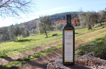 Evo Oil Experience with Oil Tasting and Lunch in the Nature