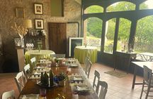 Evo Oil Experience with Oil Tasting and Lunch in the Nature