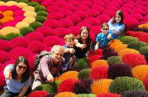 Hanoi Incense Village and Train Street Half Day Private Tour