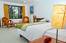 3-Day Iquitos Amazon Jungle Adventure at Ceiba Tops Lodge