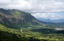 Private Town Tour with a Local from Honolulu to Diamond Head 