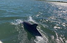 Assateague Island Cruise Departs from Ocean Pines