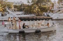 Luxury Private Miami River E-Boat Cruise & Wine and Charcuterie