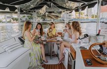 Luxury Private Miami River E-Boat Cruise & Wine and Charcuterie