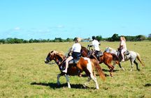 Want to Learn to Gallop at Bavaro Punta Cana Beach!