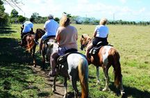 Want to Learn to Gallop at Bavaro Punta Cana Beach!