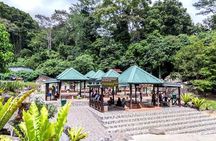 Private Desa Dairy Farm, Kinabalu National Park, Hot Spring & Canopy Walk Tour
