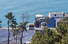 3D2N Busan and Gyeongju Private Tour