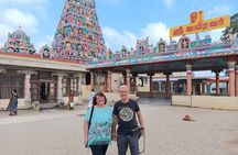 Full Day Private Guided Tour of Mysore