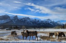Discover Banff National Park - Premium Day Trip