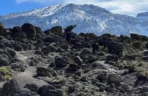 8 Days Kilimanjaro Climbing Lemosho Route