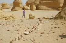Day Tour to EL Fayoum From Cairo