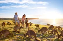 12 Apostles Great Ocean Road Tour From Melbourne