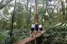 Bali Jungle Escapade: Rainforest and Waterfall Trekking