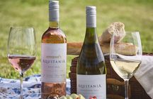 Full Day Private Maipo Valley Tour Boutique Wineries