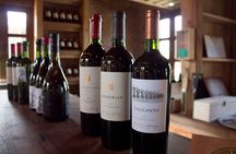 Full Day Private Maipo Valley Tour Boutique Wineries