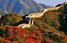 Beijing Airport Layover Forbidden city Great Wall Private Tour