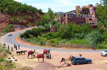Shared Ourika Valley Tour with Lunch and Camel Riding 
