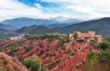 Shared Ourika Valley Tour with Lunch and Camel Riding 