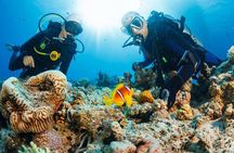 Join our Daily Diving Trip with 2 dives Transfer & Lunch-Hurghada