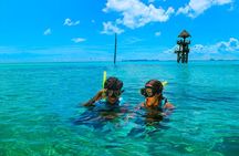 Amazing Catamaran to Isla Mujeres for the best price