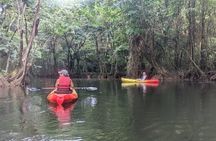 Splash Adventure Jeep and Kayak Safari