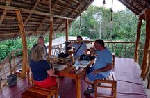 Wildlife Safari Yala National park 