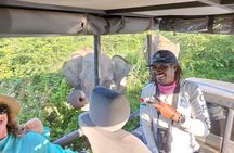 Wildlife Safari Yala National park 