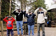 Creative Soul Scavenger Hunt Anchorage on the Tony Knowles Trail