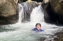  El Yunque Rainforest Tour Half Day Earlybird/ Small Groups