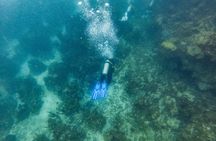 Scuba Dive in the West End of Roatan with Private Transfer