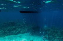 Scuba Dive in the West End of Roatan with Private Transfer