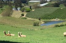 Adelaide Hills & Hahndorf Private Wine Tours - Full Day