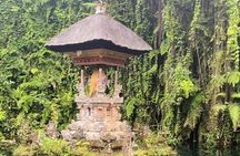 Ubud Tour - Ubud Highlight Culture, Tradition, Nature 