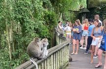 Ubud Tour - Ubud Highlight Culture, Tradition, Nature 
