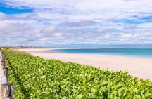 Panoramic Sightseeing Bus Tour - Discover Broome!