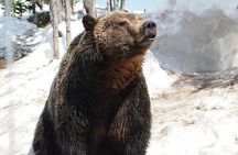 Guided Vancouver Hiking Highlights Day Tour with Gondola Download