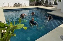 Discover Scuba Diving Experience