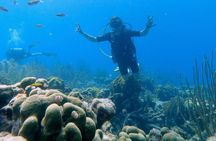 Discover Scuba Diving Experience