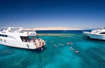 2 Dives a Comfy Boat for Certified Divers in Hurghada
