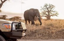 Private Tarangire National Park Day Tour